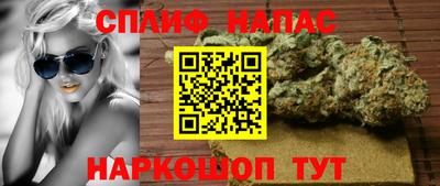 молекула духа Славгород