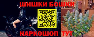 дживик Сланцы