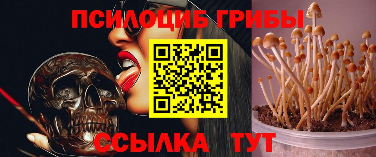 Псилоцибиновые грибы ЛСД Таганрог